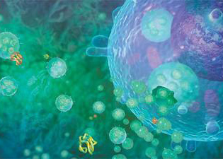 癌癥免疫新概念：第一次發(fā)現(xiàn)細(xì)胞外囊泡的重要新作用