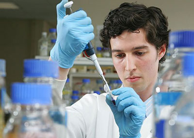 Western Blotting技術服務