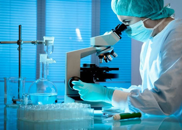 其他實(shí)驗(yàn)技術(shù)服務(wù)