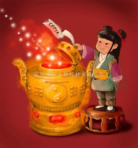 北大學(xué)者PNAS發(fā)現(xiàn)黃芩為何能治療肥胖，脂肪肝等疾病的奧秘