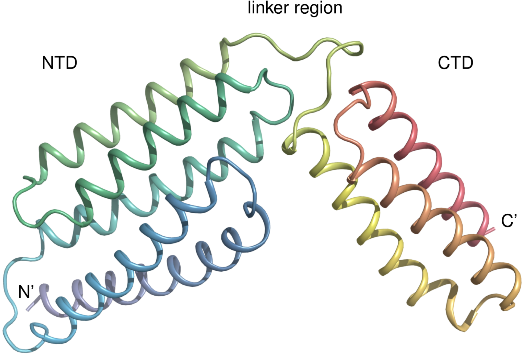 JBC：首次解析B型鏈球菌成孔蛋白CAMP因子晶體結(jié)構(gòu)