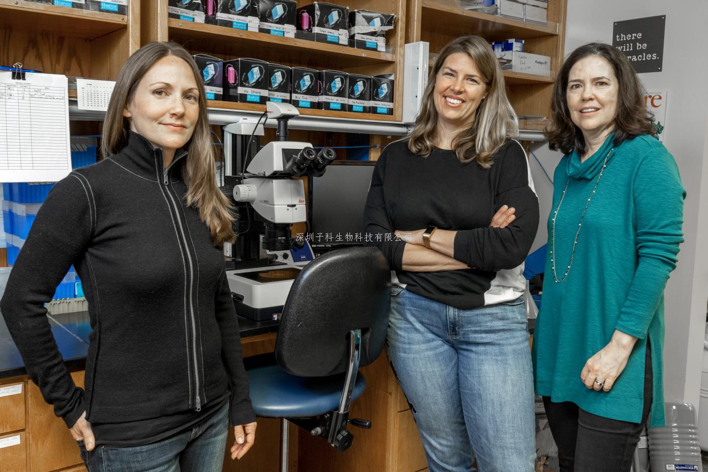 無畏致命病毒，國際科學(xué)家聯(lián)手尋找最強(qiáng)抗體