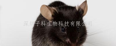 Nature重要成果：兩步技術(shù)實(shí)現(xiàn)視覺細(xì)胞重編程