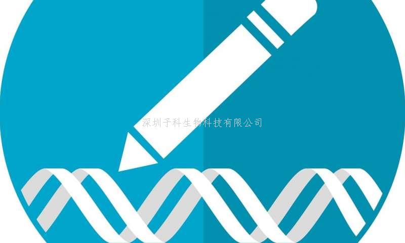 廣州醫(yī)科大學(xué)最新文章：利用堿基編輯技術(shù)在胚胎層面修復(fù)致病突變