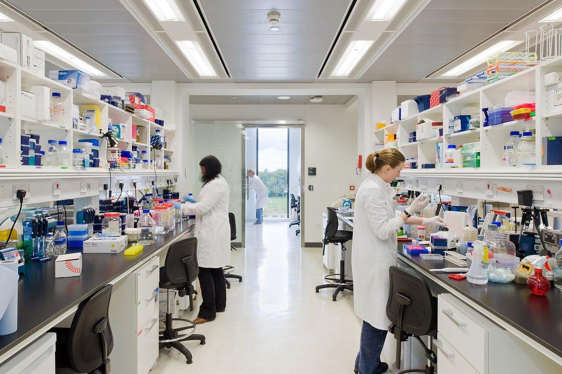 中科院學(xué)者最新Cell文章：一種觀測細(xì)胞內(nèi)動態(tài)過程的新技術(shù)