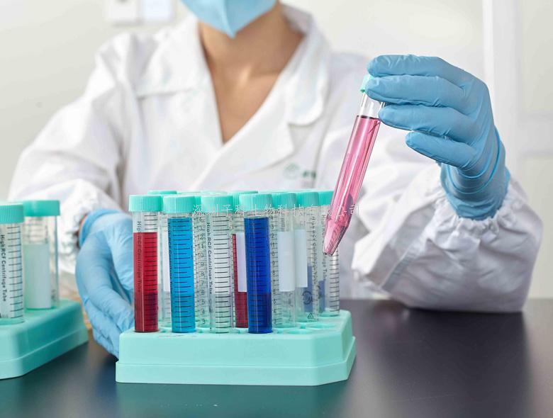 一次性檢查手套