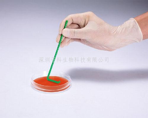 L型細胞接種推板