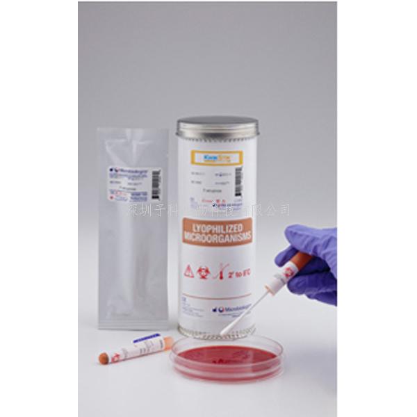 產(chǎn)氣莢膜梭菌 ATCC13124