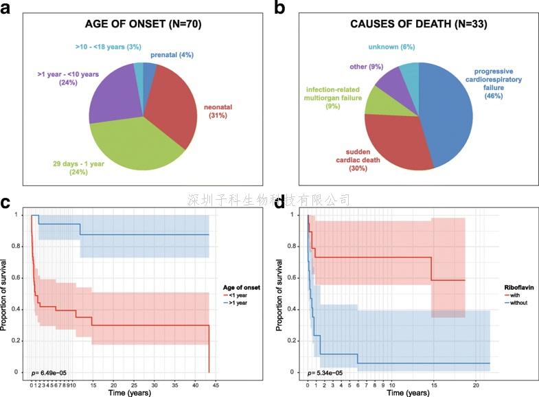 維生素B2對這種罕見的線粒體疾病有效
