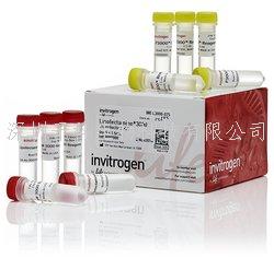 Lipofectamine? 2000轉染試劑