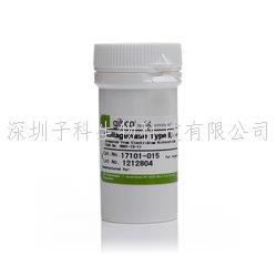 膠原酶Ⅱ Collagenase, Type II, powder