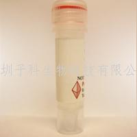 PeproTech重組人TGF-alpha/100-16A