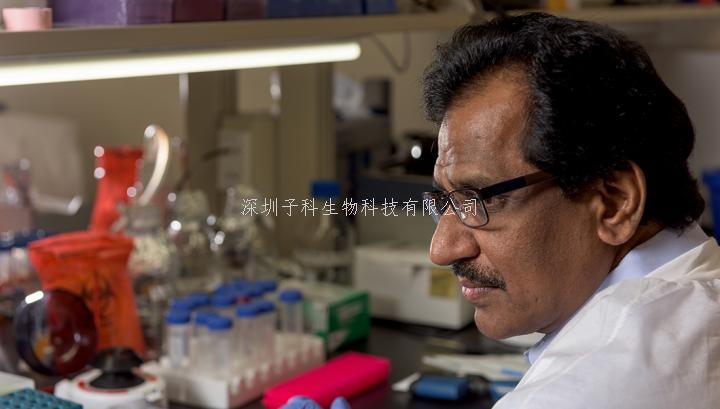 干細胞來源的神經(jīng)元改善患者認知功能