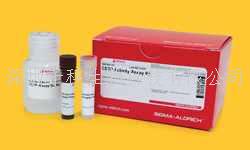 K-LISA IKKbeta Inhibitor Screening Kit，貨號(hào)：CBA044-1KIT