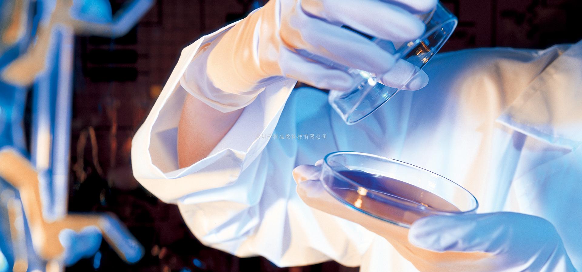 生物物理所發(fā)現(xiàn) SENP6 對(duì)著絲粒特異性組蛋白 CENP-A 定位的調(diào)控機(jī)制