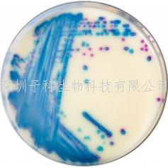 科馬嘉抗萬(wàn)古霉素腸球菌VRE顯色培養(yǎng)基