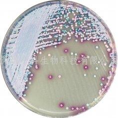 科馬嘉馬拉色顯色培養(yǎng)基