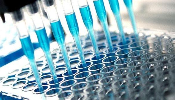 酶聯(lián)免疫法ELISA法介紹和實驗原理