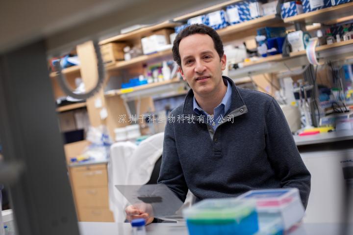 Nature Medicine：β-地貧CRISPR基因治療最新進展