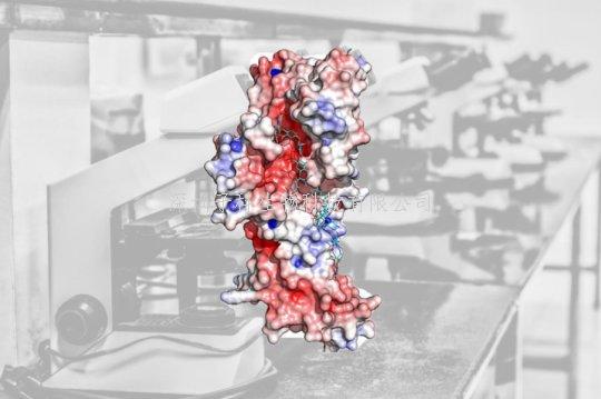 Nature子刊解析細(xì)菌“強力膠”蛋白的結(jié)構(gòu)