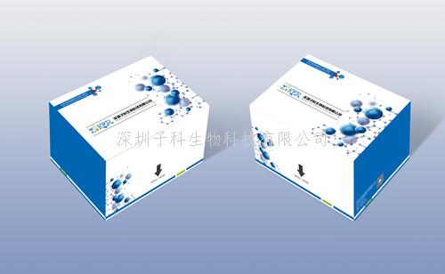 植物（Plant）硝酸還原酶（NR）ELISA檢測試劑盒