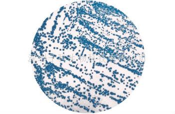 阪崎腸桿菌顯色培養(yǎng)基