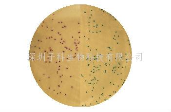 改良 MRSA 顯色培養(yǎng)基