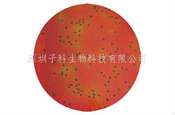 印度HiMedia 糞腸球菌顯色培養(yǎng)基