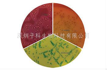 印度HiMedia 雙歧桿菌顯色培養(yǎng)基