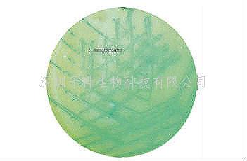 印度HiMedia 明串珠菌顯色培養(yǎng)基