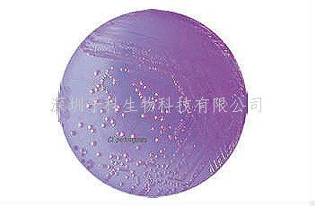 印度HiMedia M-CP顯色培養(yǎng)基