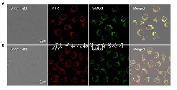 昆明植物所與合作者發(fā)現(xiàn)植物香豆素異構體的熒光特性、機理及其細胞成像的潛在價值