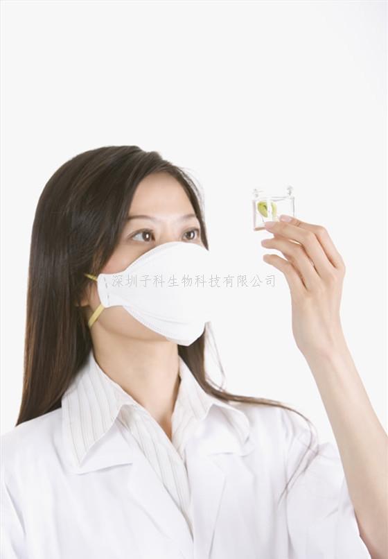 PRPF19 通過介導(dǎo)蛋白酶體降解維生素 D 受體（VDR）加重糖尿病腎病中鐵死亡及小檗堿（BBR）的保護(hù)作用機(jī)制研究