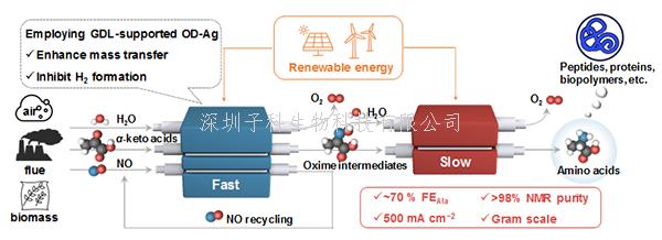 我國學(xué)者在氨基酸的水相電合成研究方面取得進(jìn)展
