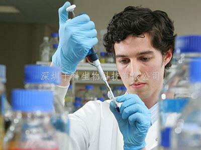 Nature Metabolism：原來維生素B12也在細胞重編程和組織再生中起關鍵作用