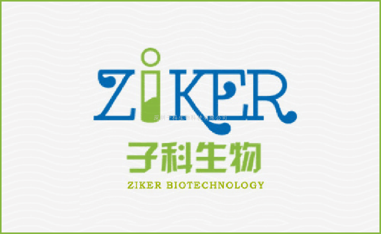 大鼠白介素1β（IL-1β）ELISA試劑盒