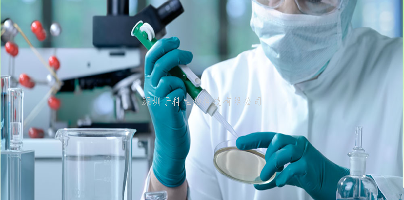 首張單細(xì)胞分辨率的人類卵巢細(xì)胞圖譜發(fā)布