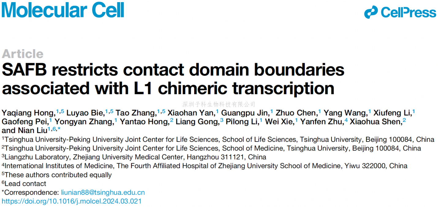 生命中心劉念團(tuán)隊(duì)揭示L1反轉(zhuǎn)錄轉(zhuǎn)座子的轉(zhuǎn)錄活性調(diào)控染色質(zhì)拓?fù)浣Y(jié)構(gòu)域邊界的形成