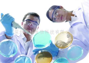 基因突變導(dǎo)致Schaaf-Yang綜合征的蛋白質(zhì)截短