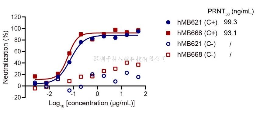 微生物所高福院士/王奇慧團隊在猴痘病毒治療性抗體研究中取得進展