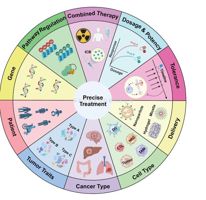 復旦大學附屬華山醫(yī)院毛穎/楊輝團隊長篇綜述：靶向固有免疫通路促進腫瘤治療研究進展