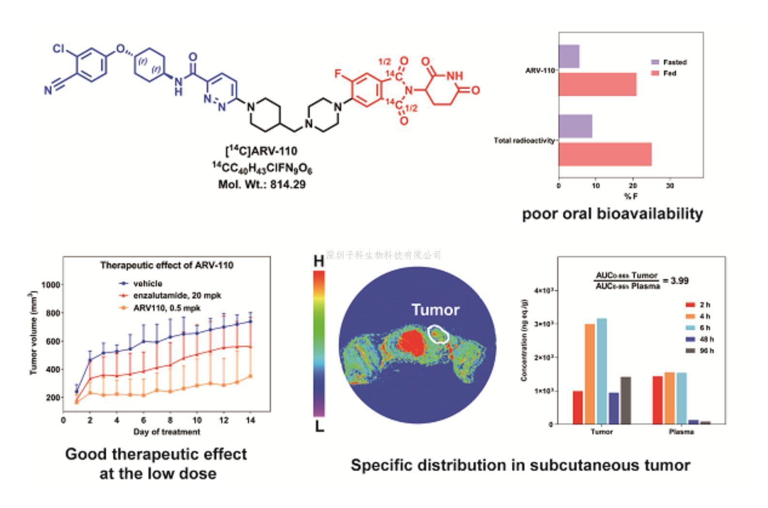 JMC封面 | 上海藥物所揭示低生物利用度的PROTAC藥物具有高成藥性
