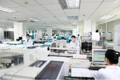 中科院學(xué)者Cell子刊闡明了新型細胞骨架在真核細胞變形中的作用