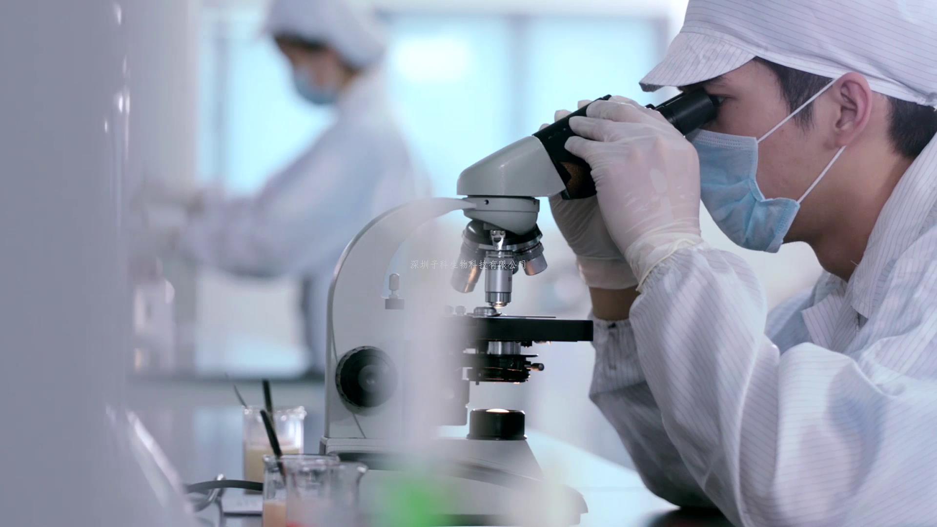 《分子細胞》發(fā)現(xiàn)DNA結(jié)合C2H2鋅指蛋白也調(diào)節(jié)RNA加工