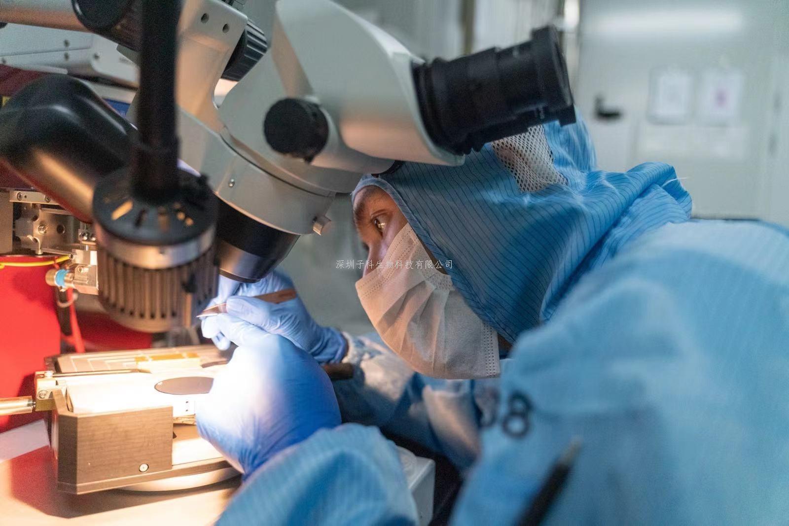 以前所未有的細節(jié)呈現(xiàn)GRB2和SOS1的新作用原理