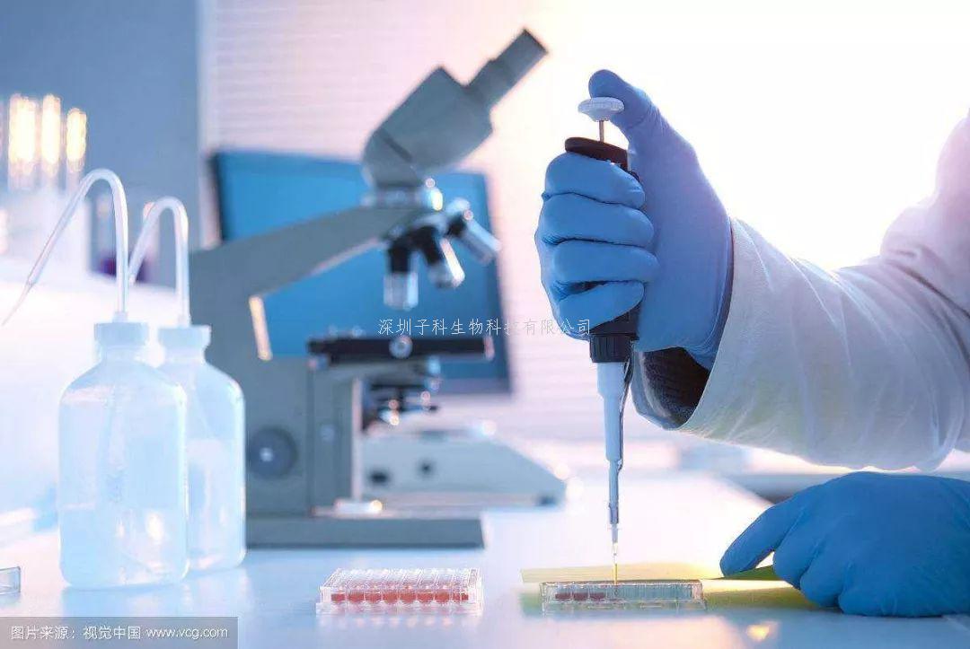 Science Advances發(fā)現(xiàn)一種新的細(xì)胞蛋白與甲型肝炎感染有關(guān)