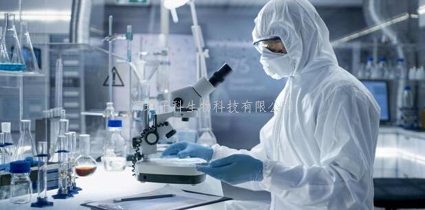 Nature：一種可以在皮膚中產(chǎn)生防御“盾牌”的免疫細(xì)胞