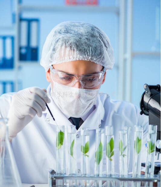 iScience新研究發(fā)現(xiàn)：加快肝纖維化的細(xì)胞通信網(wǎng)絡(luò)