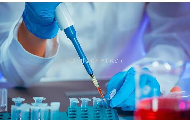 DNA 甲基轉(zhuǎn)移酶 1 調(diào)控線粒體功能的新機(jī)制：連接 m5C RNA 甲基化的關(guān)鍵作用