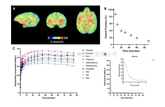 呼吸和共病研究院白平副研究員團(tuán)隊(duì)在Advanced Science發(fā)文：創(chuàng)新研發(fā)新一代腦部Sigma 1受體PET探針